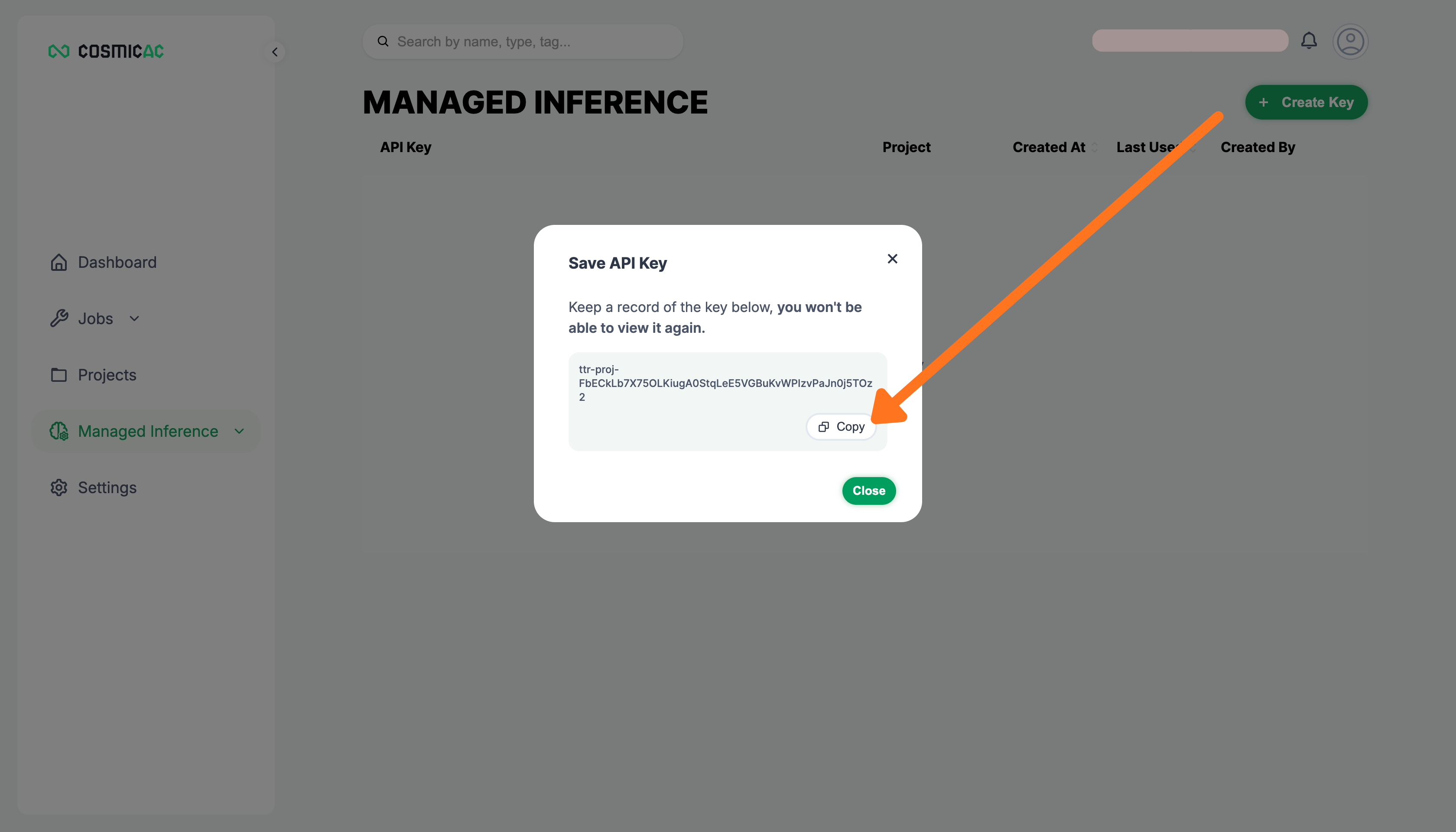 Copy API key